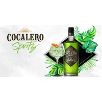 コカレロ クラシコ 29度 375ml 1本 国分 リキュール