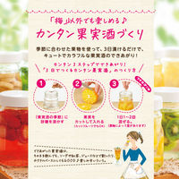 宝酒造 果実酒の季節 mini 35度 220ml （450ml広口瓶）1セット（6本） ホワイトリカー 焼酎 梅酒用 果実酒用