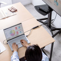 サンワサプライ HDMI-DisplayPort変換アダプタ(4K/60Hz) AD-HD31DP 1個（直送品）