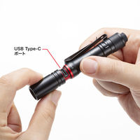 サンワサプライ ペン型ライト(ショートタイプ) LED-PEN2BK 1個（直送品）