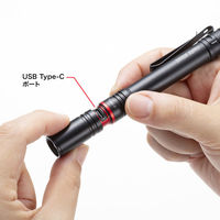 サンワサプライ ペン型ライト(ロングタイプ) LED-PEN3BK 1個