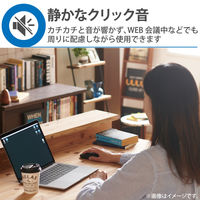 マウス 有線 静音マウス 握りの極み Lサイズ 5ボタン 黒 M-XGL10UBSBK エレコム 1個（直送品）