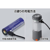 ジェントス 多機能コンパクトランタン UN-1R 1個（直送品）