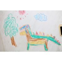 日本理化学工業 お風呂用 キットパスフォーバス3本 さんご FB3C-SAN 1個