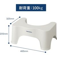 シービージャパン 踏み台 足置き 耐荷重100kg トイレ トレーニング サポート 4573306862758-2 1個