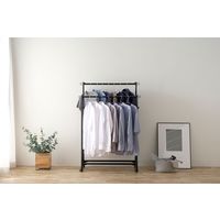 アイリスオーヤマ スタイルハンガーハード ダブルタイプ PI-H2R 1台