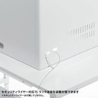 セキュリティーラック 小 幅560×奥行490×高さ490mm ホワイト RAC-SL5 1個（直送品）