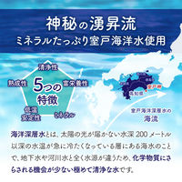 【10年保存水】ピースアップ 10年 長期保存水 マリンゴールド 2L 海洋深層水 10002719 1セット（6本入）
