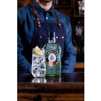 プリマス・ジン クラフトジン 41.2度 700ml 1本 イギリス お酒 ギフト プレゼント 誕生日 マティーニ ペルノ・リカール