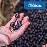 モンキー 47 ドライ・ジン クラフトジン 47度 500ml 1本 47種のボタニカルを使用 MONKEY 47 ペルノ・リカール