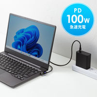 USB Type-Cケーブル 1m コネクタ540°回転 PD100W 1本 サンワサプライ