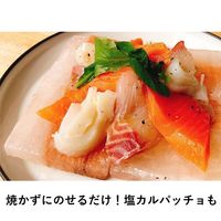 LOGOS 岩塩プレート 81065990 LOGOS/ロゴス