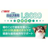 ゴン太の歯磨き専用ガム L8020乳酸菌入り SSサイズ 低脂肪 国産 120g 1セット（1袋×3）マルカン 犬用 おやつ