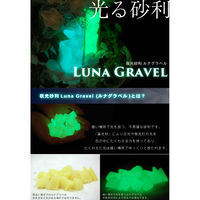 昭光物産(株) 夜光砂利 ルナグラベル ブルー 505390 1セット(2袋)（直送品）
