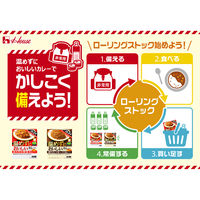 ハウス食品 温めずにおいしいカレー 香りたつキーマカレー 1人前・180g 1個 レトルト 常温 備蓄