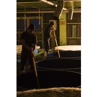 壱岐っ娘 25度 900ml パック 1セット（1本×6） 麦焼酎 壱岐の蔵酒造