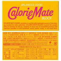 カロリーメイトブロック　2本入り　5種セット（バニラ・メープル・チーズ・チョコレート・フルーツ）1箱2本入×各20箱　大塚製薬