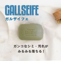 藤栄(FUJIEI) ランドリーブラシ FL-149 1個+ガルザイフェ FL-216 3個 セット 4545229501748 1個（直送品）