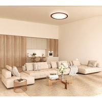 アイリスオーヤマ LEDシーリングライト 12畳 調光調色 ウッドフレーム CEA12DL-5.0QWFM 1台