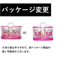 雪印メグミルクたっち（大缶2缶） 1パック 雪印ビーンスターク