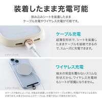 MSソリューションズ スマートフォン(汎用) 挟み込みシートステンレスタイプ ブラック LN-SH04STBK 1個