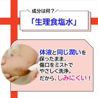 ニールメッド ウンドウォッシユ傷口洗浄スプレー 0705928652200 1本