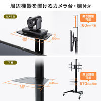サンワサプライ 手動上下昇降テレビスタンド カメラ台・大型キャスター付 ブラック CR-PL61BK 1台（直送品）