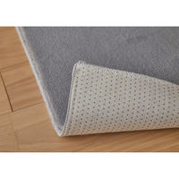 スミノエ ホームラグ ミニマル リュクス 消臭 防炎 ラグ ハク 900×900mm グレー 4549781310954 1枚（直送品）