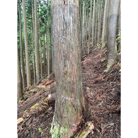 近江屋ロープ グリーンブロックシェルター 142-4L 1セット(100枚束)（直送品）