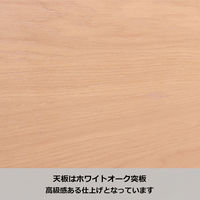 【アウトレット】【軒先渡し】コイズミファニテック ULTAGE デスク 幅1200×奥行600×高さ730mm KWD-793MOBK 1台（直送品）