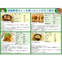 減塩 野菜カレー 中辛 1人前・180g 1セット（1個×2）宮島醤油 レトルト