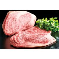 PASTATAI 佐賀県産和牛のボロネーゼ 1人前・130g 1セット（1個×2）宮島醤油 パスタソース