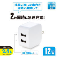 オーム電機 AC充電器 AUA12WーW 01-7169 1個