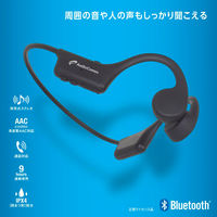 オーム電機 骨伝導イヤホン BC110 03-1666 1個