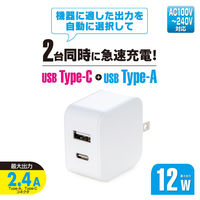 オーム電機 AC充電器 AUC12WーW 01-7170 1個