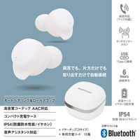 オーム電機 完全ワイヤレスホン W430 白 03-2887 1個