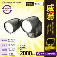 オーム電機 防犯センサーライトB200Y2 07-8812 1個