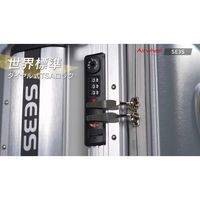 Airwheel ROBOT 電動スマートスーツケース SE3Sモデル ピンク SE3S-PI 1台（直送品）