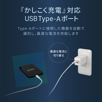 オウルテック 2ポートAC充電器 PD45W出力 USB Type-C×1 Type-A×1 OWL-APD45C1A1G-WH 1個