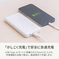 オウルテック 薄型モバイルバッテリー 10000mAh 厚さ14.2mm 15W出力 OWL-LPB10013-WH 1個