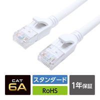 ナカバヤシ カテゴリー6A LANケーブル ホワイト 3m C6A-03WH 1本