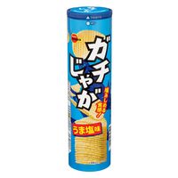 ガチじゃがうま塩味 100g 1セット（1個×6） ブルボン ポテトチップス スナック おつまみ