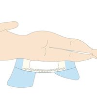 アズワン 皮膚や排せつをケアするコットン 1袋(5巻入) 66-0013-09 1袋(5巻)（直送品）