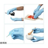 小野商事 ニトリル手袋 パウダーフリー 100枚入 Lサイズ AG7240-L 1箱(100枚) 65-1746-08（直送品）