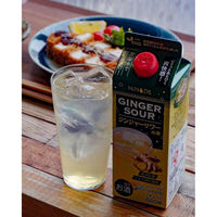 HiNODE ジンジャーサワーの素 20度 500ml 1本 しょうが 生姜 ジンジャー 国産素材 高知県産 約10杯分