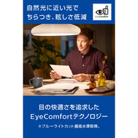 フィリップス デスクライト モニターライトモデル DSK204 1台