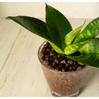 【園芸用品】 サンアンドホープ クラフト ハイドロボール 1L 1袋（1L入）