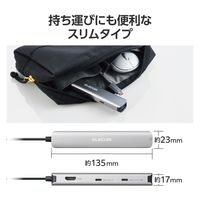 ドッキングステーション タイプC ハブ 6in1 HDMI LAN USB-C /A USBハブ  DST-W09 エレコム 1個（直送品）