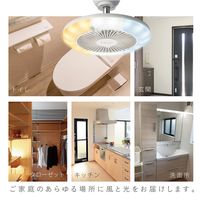 ドウシシャ サーキュライト 引掛ソケットモデル 人感センサー付き 調色 DSLH60SC（WH） 1台