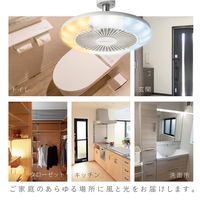 ドウシシャ サーキュライト E26ソケットモデル 人感センサー付き 調色 DSLS60SC（WH） 1台